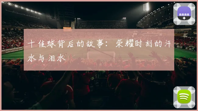 十佳球背后的故事：荣耀时刻的汗水与泪水