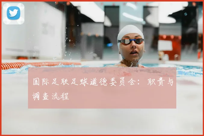 国际足联足球道德委员会：职责与调查流程