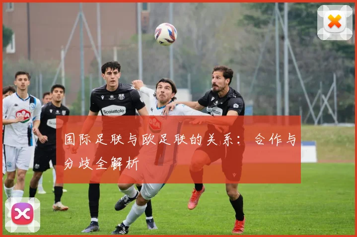 国际足联与欧足联的关系：合作与分歧全解析