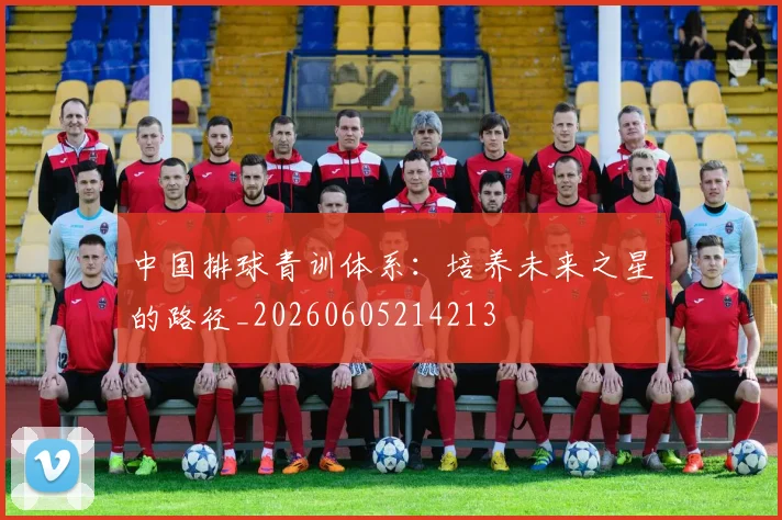 中国排球青训体系：培养未来之星的路径_20260605214213