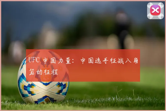 UFC 中国力量：中国选手征战八角笼的征程
